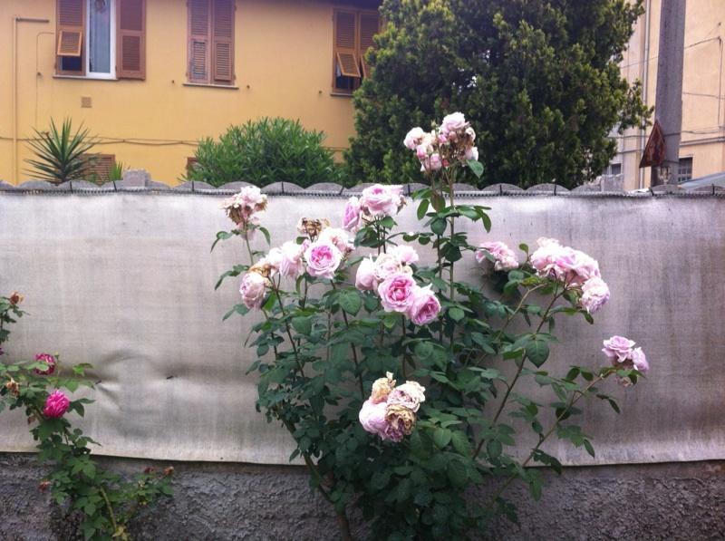 Vila Solemare House Nearby Cinqueterre La Spezia Pokoj fotografie